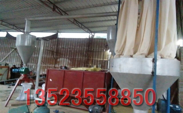 福建木粉機現場2